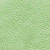 light-green-leather-dye